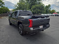 2026 Toyota Tundra 4WD Platinum
